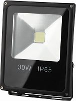 Прожектор Эра LPR-30-6500К-М (10/240) черный 30Вт лам.:светодиод. (Б0017301)
