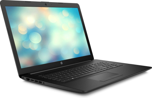 Ноутбук HP 17-by1021ur Core i5 8265U/4Gb/1Tb/DVD-RW/Intel UHD Graphics 620/17.3"/HD+ (1600x900)/Free DOS/black/WiFi/BT/Cam фото 6