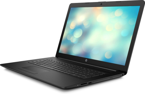 Ноутбук HP 17-by1021ur Core i5 8265U/4Gb/1Tb/DVD-RW/Intel UHD Graphics 620/17.3"/HD+ (1600x900)/Free DOS/black/WiFi/BT/Cam фото 5