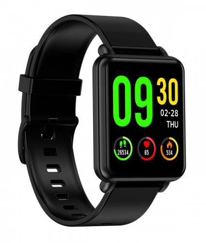 Смарт-часы Digma Smartline T3 1.3" IPS черный (T3B) фото 5