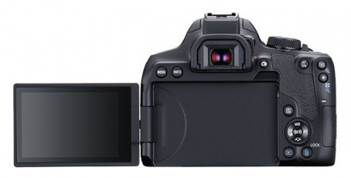 Зеркальный Фотоаппарат Canon EOS 850D черный 24.1Mpix 3" 4K 4K SDXC Li-ion (без объектива) фото 4