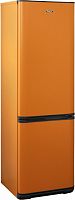 Холодильник Бирюса Б-T360NF оранжевый (двухкамерный)