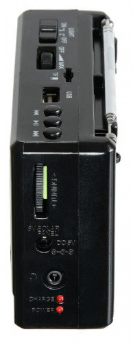 Радиоприемник портативный Hyundai H-PSR140 черный USB microSD фото 3