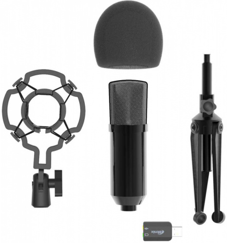 Микрофон проводной Ritmix RDM-160 25м черный фото 4