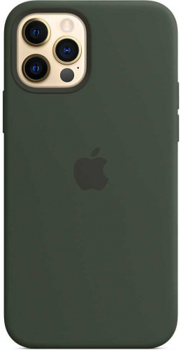 Чехол (клип-кейс) Apple для Apple iPhone 12/12 Pro Silicone Case with MagSafe зеленый кипрский (MHL33ZE/A) фото 8