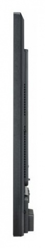Панель LG 43" 43SE3KE-B черный IPS LED 12ms 16:9 DVI HDMI M/M матовая 350cd 178гр/178гр 1920x1080 FHD USB 12.5кг фото 3