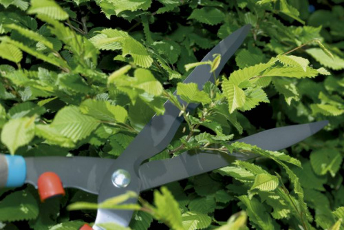 Ножницы для живой изгороди Gardena Classic 540 FSC черный (00391-20.000.00) фото 3