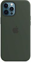 Чехол (клип-кейс) Apple для Apple iPhone 12 Pro Max Silicone Case with MagSafe зеленый кипрский (MHLC3ZE/A)