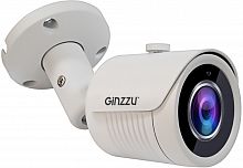 Камера видеонаблюдения Ginzzu HAB-5031A 3.6-3.6мм цветная корп.:белый