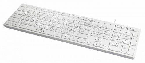 Клавиатура Оклик 556S белый USB slim Multimedia фото 5