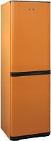 Холодильник Бирюса Б-T631 оранжевый (двухкамерный)