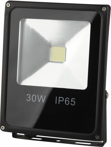 Прожектор Эра LPR-30-6500К-М (10/240) черный 30Вт лам.:светодиод. (Б0017301)