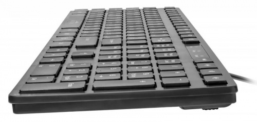 Клавиатура Оклик 556S черный USB slim Multimedia фото 4