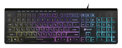 Клавиатура Оклик 490ML черный USB slim Multimedia LED фото 12