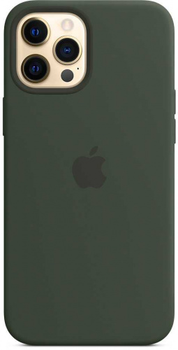 Чехол (клип-кейс) Apple для Apple iPhone 12 Pro Max Silicone Case with MagSafe зеленый кипрский (MHLC3ZE/A) фото 4