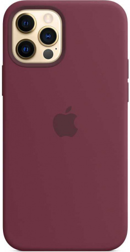 Чехол (клип-кейс) Apple для Apple iPhone 12/12 Pro Silicone Case with MagSafe сливовый (MHL23ZE/A) фото 8