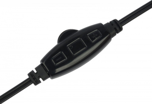Наушники с микрофоном Оклик HS-M137V черный 1.8м мониторные оголовье (614046) фото 3