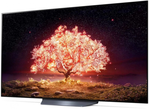 Телевизор OLED LG 65" OLED65B1RLA черный/серебристый Ultra HD 120Hz DVB-T DVB-T2 DVB-C DVB-S DVB-S2 USB WiFi Smart TV (RUS)