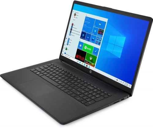 Ноутбук HP 17-cp0104ur Athlon Silver 3050U 8Gb SSD512Gb AMD Radeon 17.3" SVA HD+ (1600x900) Windows 10 black WiFi BT Cam фото 5