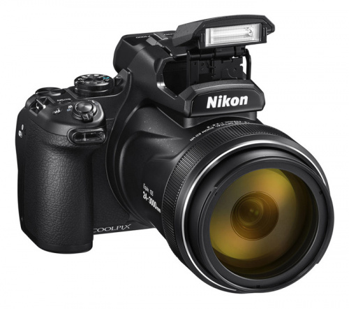 Фотоаппарат Nikon CoolPix P1000 черный 16Mpix Zoom125x 3.2" 4K SDXC CMOS 1x2.3 IS opt 1minF turLCD VF 7fr/s RAW 30fr/s HDMI/WiFi/GPS/EN-EL23 фото 12