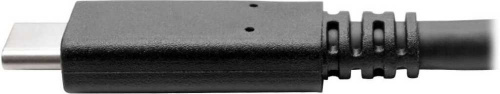 Кабель Tripplite U420-003-G2-5A USB Type-C (m)-USB Type-C (m) 0.9м черный фото 4
