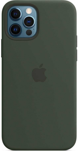 Чехол (клип-кейс) Apple для Apple iPhone 12/12 Pro Silicone Case with MagSafe зеленый кипрский (MHL33ZE/A) фото 9