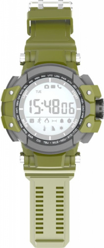 Смарт-часы Jet Sport SW3 51мм 1.2" LCD серый (SW-3 GREEN) фото 3