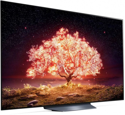 Телевизор OLED LG 65" OLED65B1RLA черный/серебристый Ultra HD 120Hz DVB-T DVB-T2 DVB-C DVB-S DVB-S2 USB WiFi Smart TV (RUS) фото 4