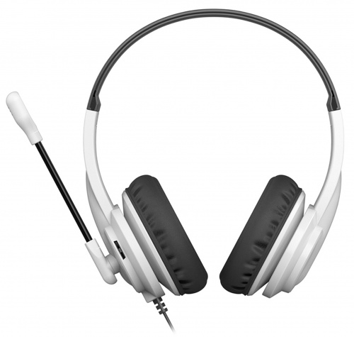 Наушники с микрофоном A4Tech HU-10 черный/белый 2м накладные USB оголовье (HU-10/USB/BLACK+WHITE) фото 3