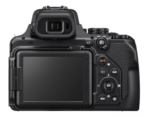 Фотоаппарат Nikon CoolPix P1000 черный 16Mpix Zoom125x 3.2" 4K SDXC CMOS 1x2.3 IS opt 1minF turLCD VF 7fr/s RAW 30fr/s HDMI/WiFi/GPS/EN-EL23 фото 10