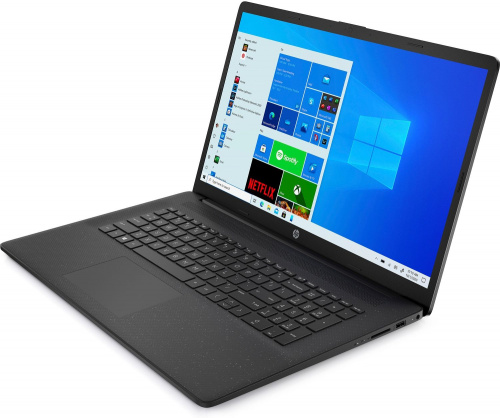 Ноутбук HP 17-cp0088ur Athlon Silver 3050U 4Gb SSD256Gb AMD Radeon 17.3" HD+ (1600x900) Windows 10 Home black WiFi BT Cam фото 6