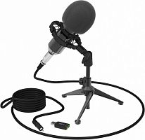 Микрофон проводной Ritmix RDM-160 25м черный
