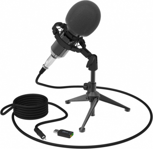 Микрофон проводной Ritmix RDM-160 25м черный