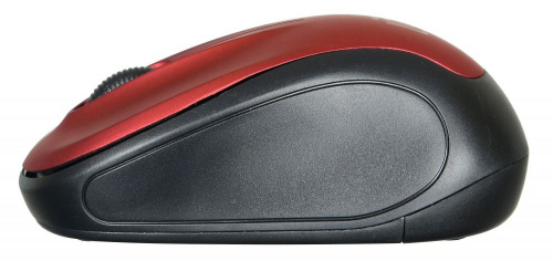 Мышь Оклик 665MW черный/красный оптическая (1600dpi) беспроводная USB для ноутбука (3but) фото 6