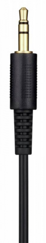 Наушники мониторные Pioneer SE-M531 3.5м черный проводные оголовье фото 2