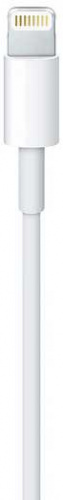 Кабель Apple A1480 MXLY2ZM/A USB (m)-Lightning (m) 1м белый фото 2
