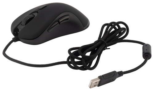Мышь Acer OMW190 черный оптическая (6400dpi) USB (6but) фото 5
