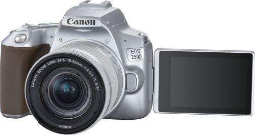 Зеркальный Фотоаппарат Canon EOS 250D серебристый 24.1Mpix EF-S 18-55mm f/1:4-5.6 IS STM 3" 4K Full HD SDXC Li-ion фото 5