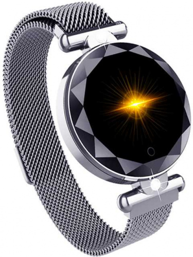 Смарт-часы Smarterra SmartLife Vega 1.08" TFT серебристый (SMLVEGAS) фото 6