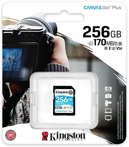 Флеш карта SDXC 256GB Kingston SDG3/256GB Canvas Go! Plus w/o adapter фото 3