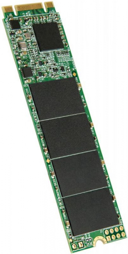 Накопитель SSD Transcend SATA-III 240GB TS240GMTS820S M.2 2280 фото 3
