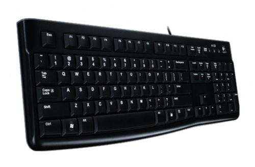 Клавиатура Logitech K120 EER черный USB фото 2