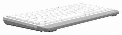 Клавиатура A4Tech Fstyler FKS11 белый/серый USB фото 5