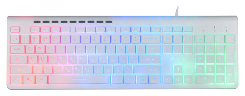 Клавиатура Оклик 490ML белый USB slim Multimedia LED фото 13