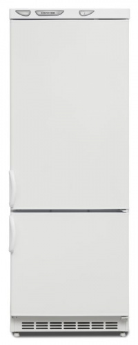 Холодильник Саратов 209-001 КШД-275/65 белый (двухкамерный)