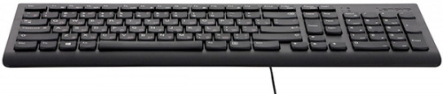 Клавиатура Lenovo 300 черный USB для ноутбука фото 2