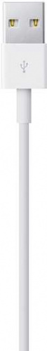 Кабель Apple A1480 MXLY2ZM/A USB (m)-Lightning (m) 1м белый фото 3