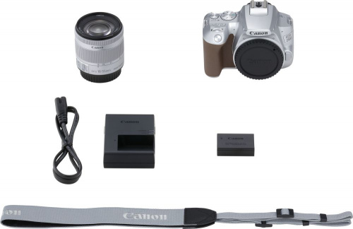 Зеркальный Фотоаппарат Canon EOS 250D серебристый 24.1Mpix EF-S 18-55mm f/1:4-5.6 IS STM 3" 4K Full HD SDXC Li-ion фото 6