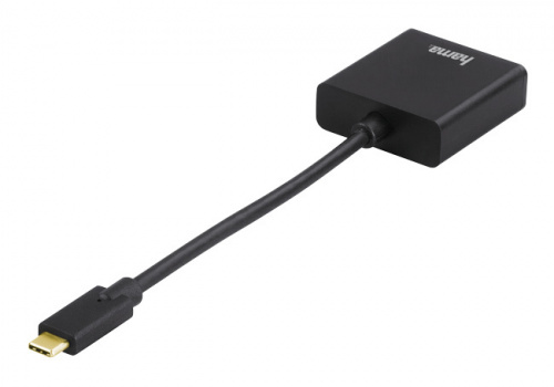 Переходник Hama 135725 DisplayPort (f)-USB Type-C (m) 0.1м черный фото 4
