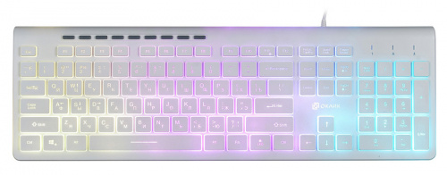 Клавиатура Оклик 490ML белый USB slim Multimedia LED фото 12